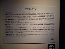 06.jpg