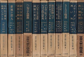 世界大衆小説全集.jpg