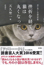 挫折を経て、猫は丸くなった。.jpg