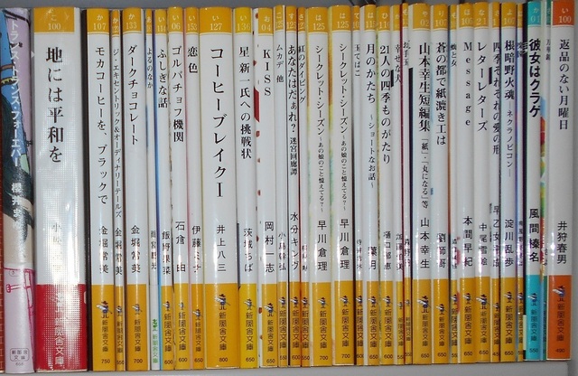 新風舎文庫.JPG