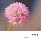 植物掌景.jpg