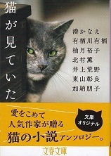猫が見ていた.jpg