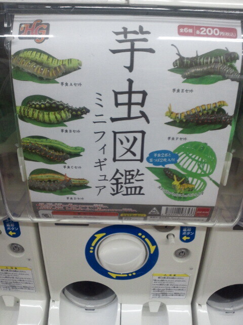 芋虫図鑑.jpg