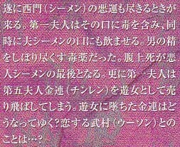 新・金瓶梅⑤あらすじ.jpg